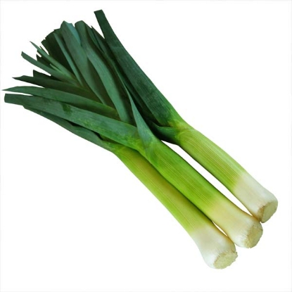 Picture of Leek Norwich F1